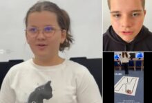 doi-elevi-din-ludus-s-au-calificat-la-etapa-nationala-a-concursului-de-robotica-nextlab.tech