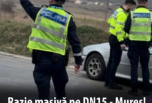 razie-pe-dn15:-zeci-de-soferi-lasati-fara-permis-si-aproape-100-de-amenzi-pentru-viteza!