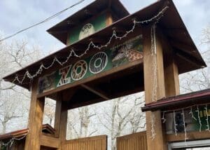 magia-de-halloween-la-gradina-zoologica-targu-mures