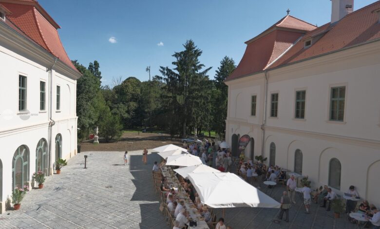 castelul-teleki-din-gornesti-isi-extinde-planurile:-teren-pentru-activitati-culturale-si-turistice