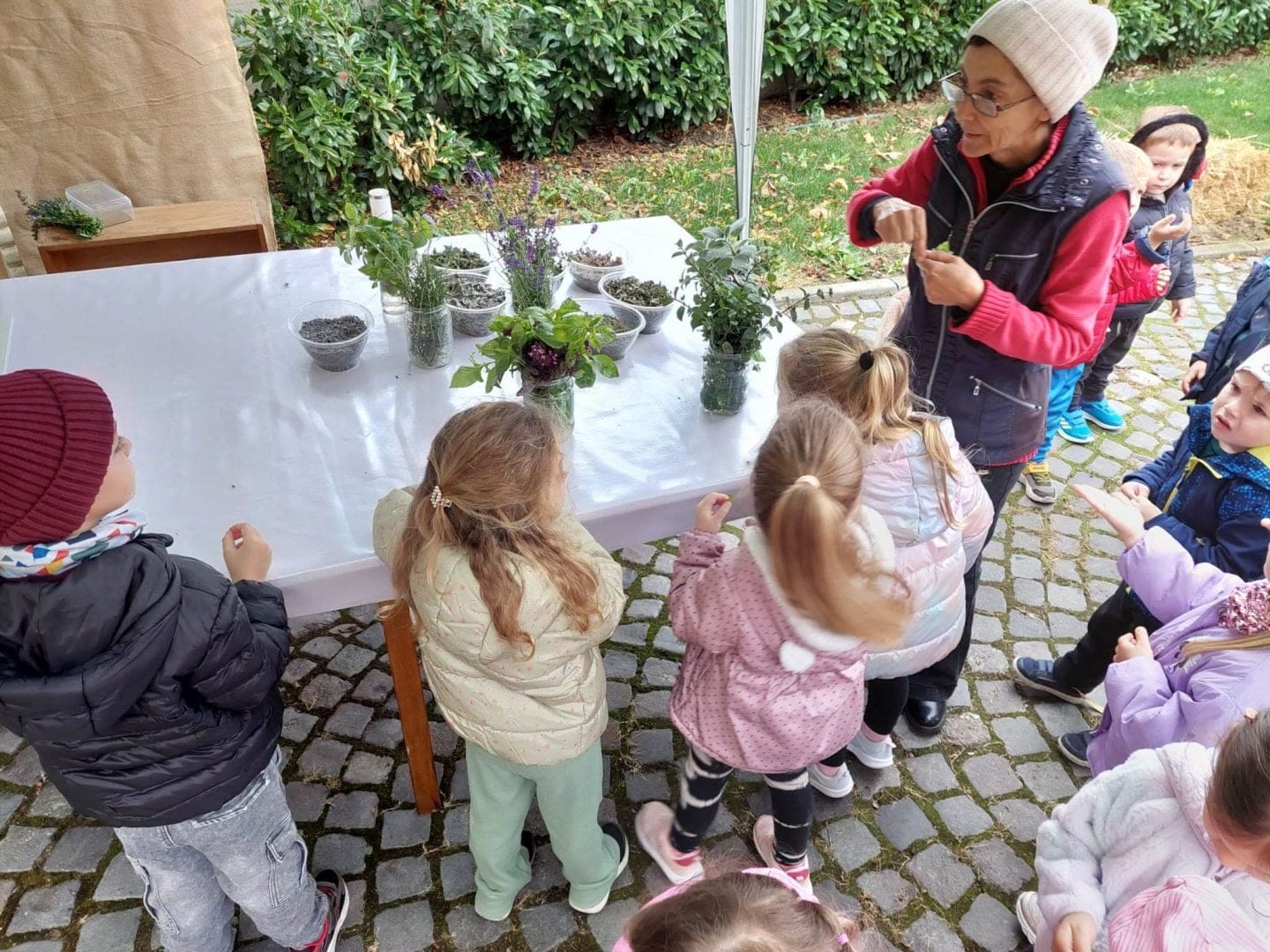 ateliere-si-jocuri-pentru-cei-mici-si-mari-la-muzeul-judetean-mures.-festivalul-toamnei-la-muzeu-se-desfasoara-in-aceste-zile-–-afla-programul