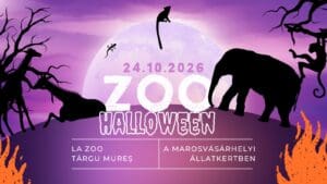 magie-de-hallooween-si-concurs-foto-la-zoo-targu-mures