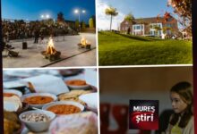 festivalul-toamnei-la-omega-nazna:-o-sarbatoare-a-comunitatii,-gustului-si-bunei-dispozitii!