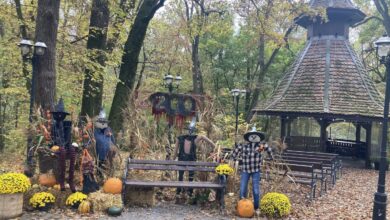 concurs-la-zoo-targu-mures.-castiga-bilete-la-solstitiul-de-iarna-pentru-familia-ta-sau-un-tur-ghidat-pentru-clasa-ta