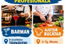 curs-gratuit-de-ajutor-bucatar-la-targu-mures,-organizat-de-ajofm-in-luna-noiembrie