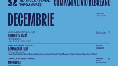 la-teatru-in-luna-decembrie.-doua-invitatii-la-un-spectacol-la-alegere-oferite-de-teatrul-national-targu-mures