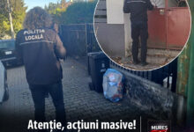 targu-mures:-deseurile-amestecate-nu-mai-sunt-ridicate.-politia-locala-si-sylevy-cleaning-au-aplicat-zeci-de-sanctiuni-si-avertismente!