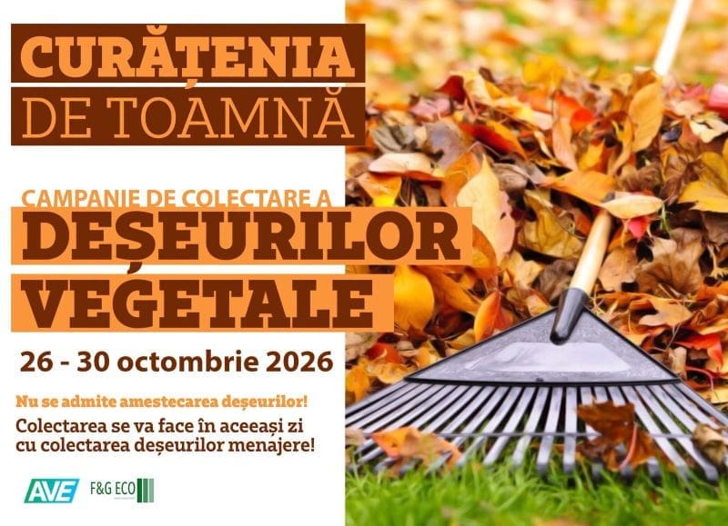 curatenie-de-toamna-la-reghin