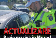 razie-masiva-pe-dn15:-73-de-amenzi-in-doar-4-ore!