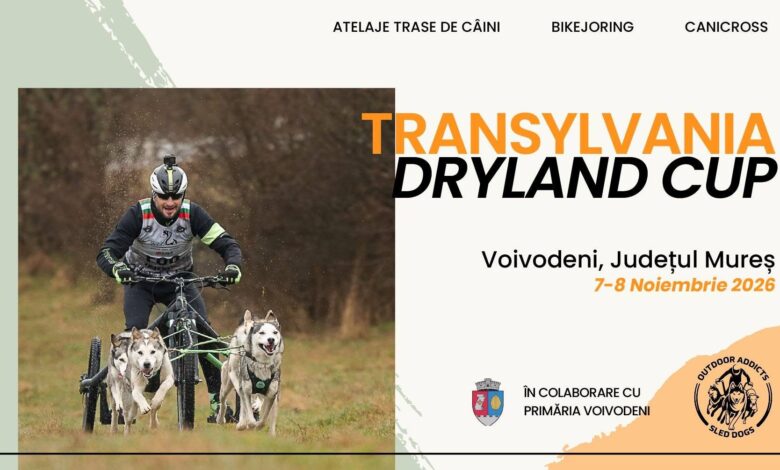 voivodeni-gazduieste-transylvania-dryland-cup,-o-competitie-spectaculoasa-de-atelaje-trase-de-caini