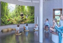 un-parc-in-forma-de-urs,-pe-un-teren-parasit-din-centrul-sovatei.-proiectul-de-9,5-milioane-de-lei