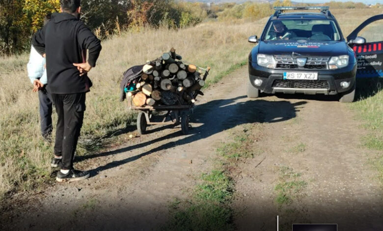 deseuri-neconforme-la-ghena-si-lemne-taiate-ilegal-pe-malul-muresului!