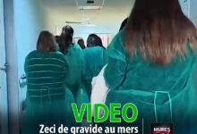 maternitatea-spitalului-clinic-judetean-de-urgenta-targu-mures-si-a-deschis-portile-pentru-viitoarele-mame:-peste-50-de-gravide-au-participat-la-eveniment!