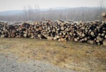 sprijin-pentru-familiile-din-zonele-defavorizate