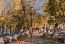 bugetul-municipiului-targu-mures,-rectificat:-peste-310-milioane-pentru-dezvoltare