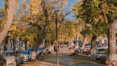 bugetul-municipiului-targu-mures,-rectificat:-peste-310-milioane-pentru-dezvoltare