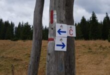 patru-trasee-de-cicloturism-desemnate-in-parcul-national-cheile-bicazului-hasmas-pentru-siguranta-turistilor-si-protejarea-naturii